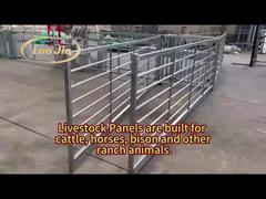 Introduce Outdoor Horse Cattle Goat Steel Livestock Panels 1.6*2.1m Powder Coated For You