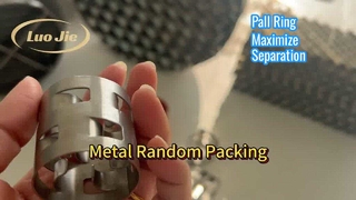 Product Showcase of Random Packing Pall Ring