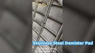 Stainless Steel Demister Pad